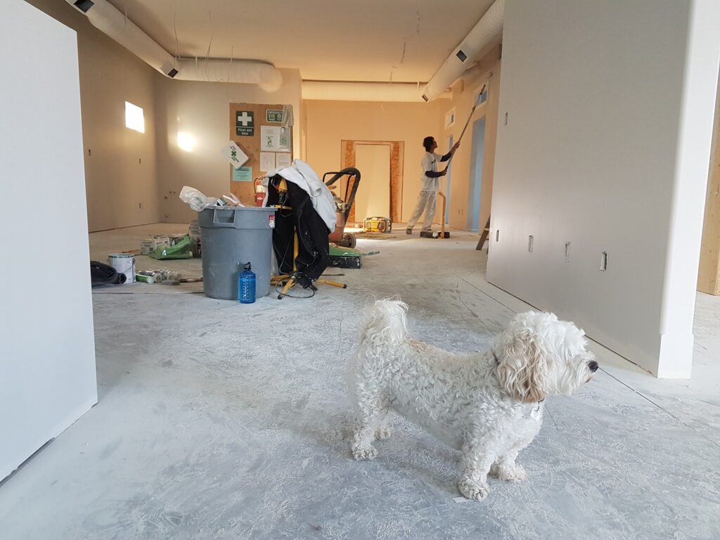 remodeling a house where to start