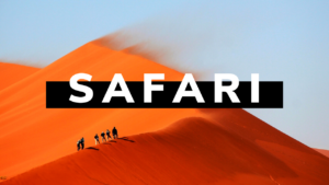 VIP desert safari dubai