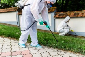 Pest Control Surrey