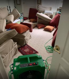 Electric Bedbug Heater
