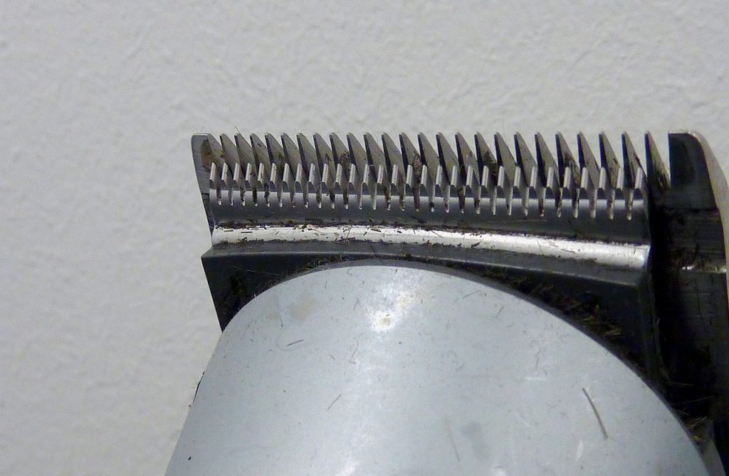 philips trimmer service center in kolkata