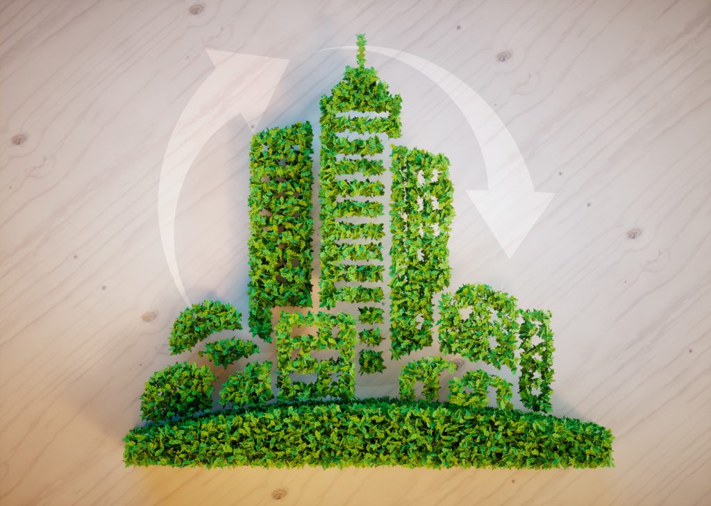 how to be more sustainable