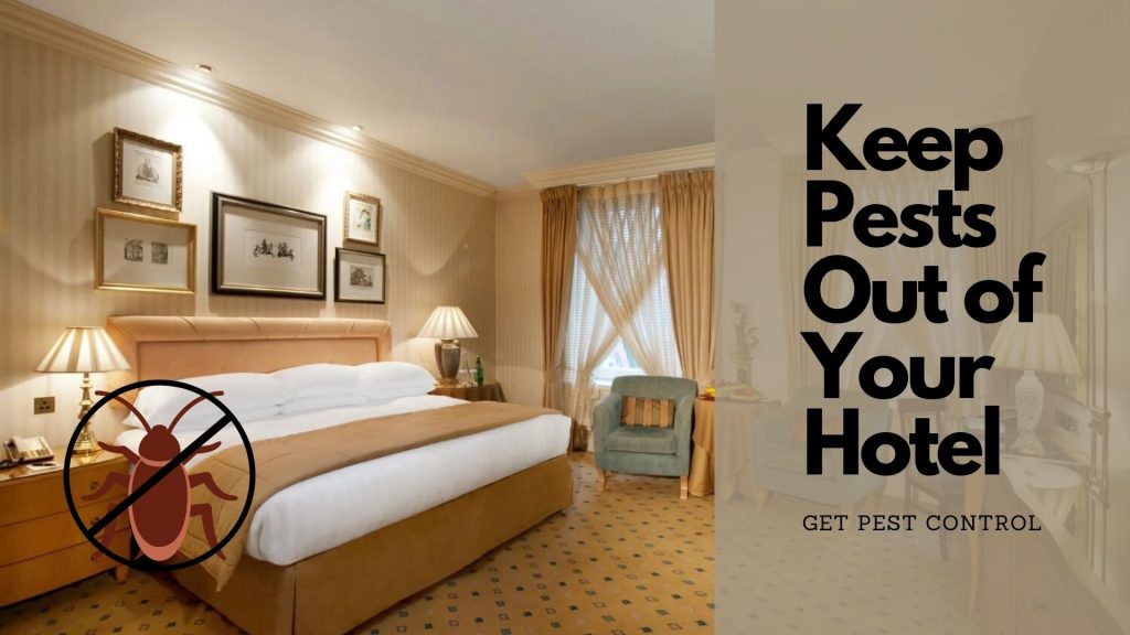 Keep Pests Out of Your Hotel