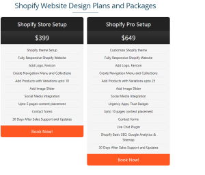 Best Shopify Website  Design Packages
