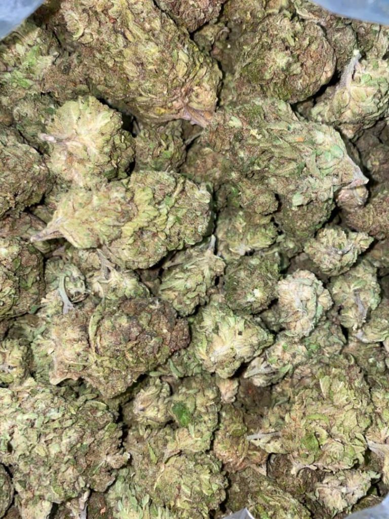 AK 47 Hybrid